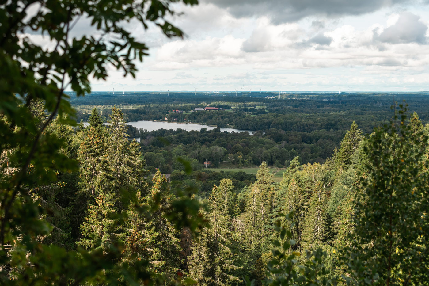 platåbergens_geopark-foto_henrik_theodorsson-9896 | Platåbergens Geopark