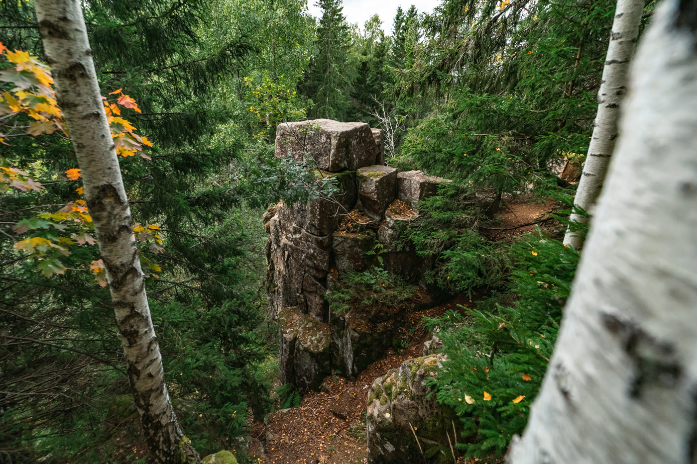 platåbergens_geopark-foto_henrik_theodorsson-9924 | Platåbergens Geopark