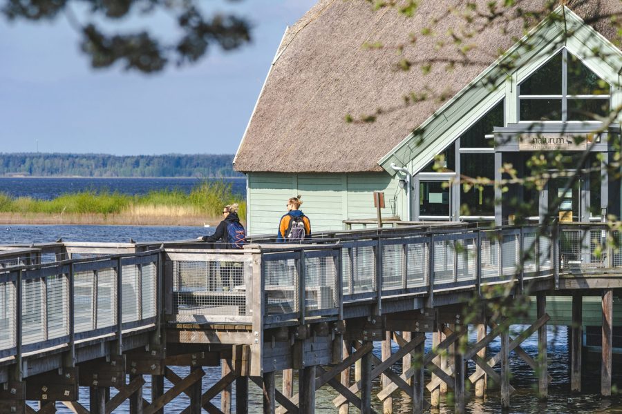 10. Natu­rum Hornborgasjön | Platåbergens Geopark