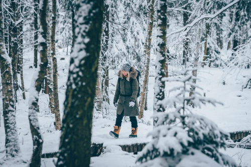 Vintervandring på högkullen