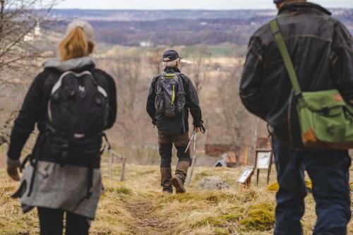 Ruinen efter Lenaborg